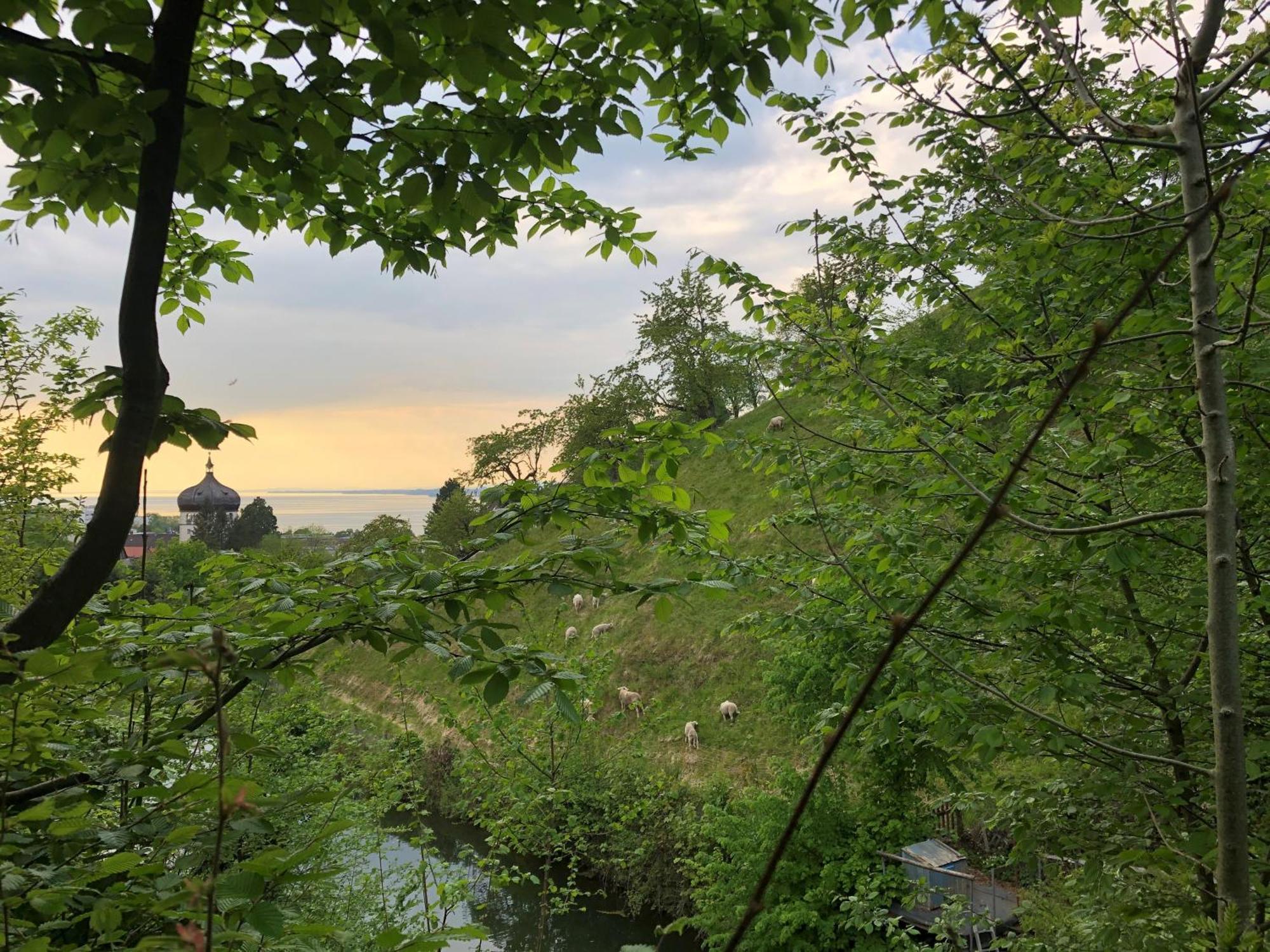 Apartament Haus Am Felsen, Ferien In Vorarlberger Architektur Bregencja Zewnętrze zdjęcie